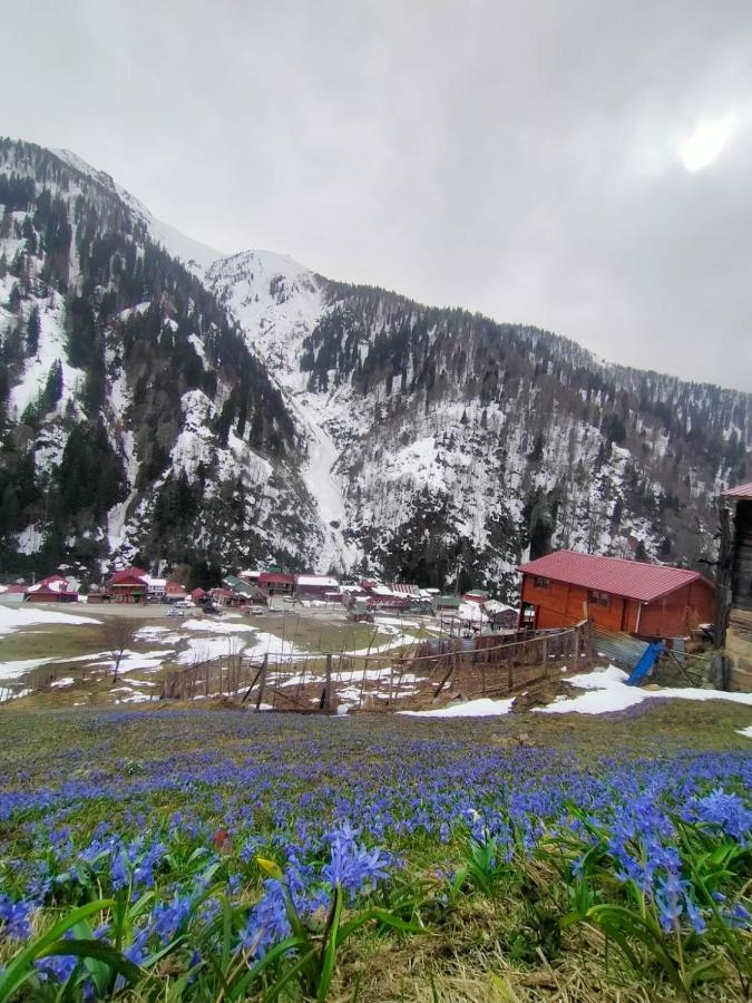Ayder Yardimci Apart Esterno foto