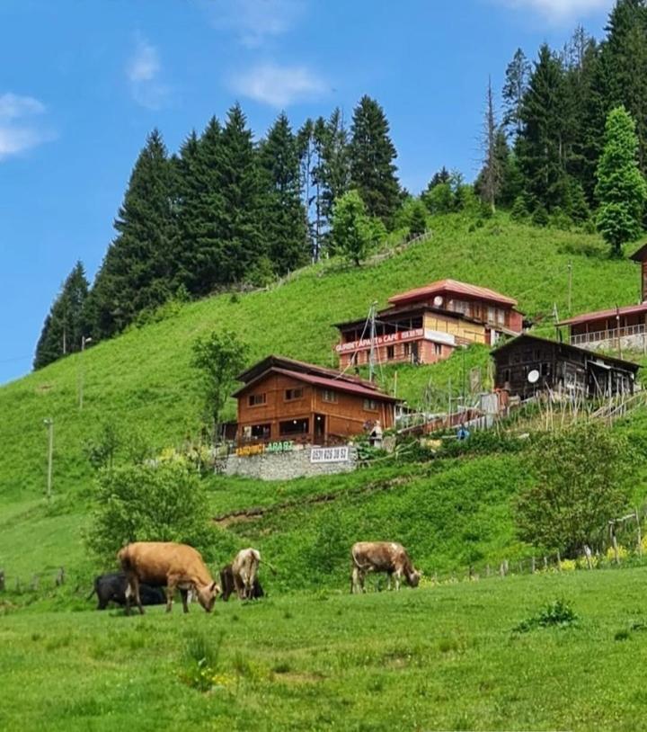 Ayder Yardimci Apart Esterno foto
