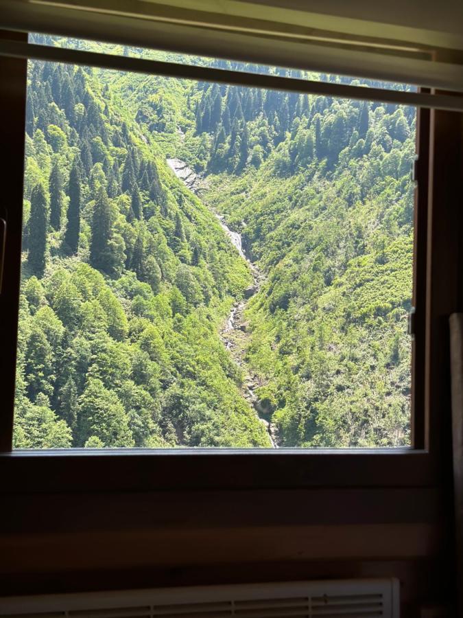 Ayder Yardimci Apart Esterno foto